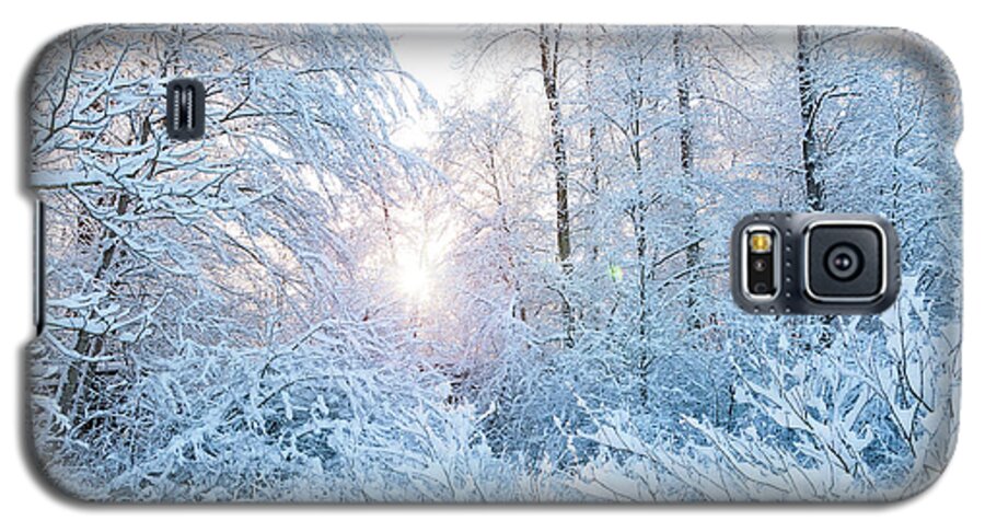 Winter Galaxy S5 Case featuring the photograph Winter Wonderland by Sandra Sigfusson