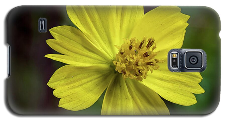 Background Galaxy S5 Case featuring the photograph Yellow Flower by Ed Clark