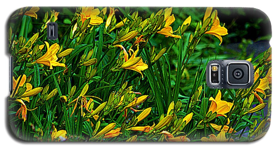 Yellow Lily Flowers Galaxy S5 Case featuring the photograph Yellow Lily Flowers by Susanne Van Hulst