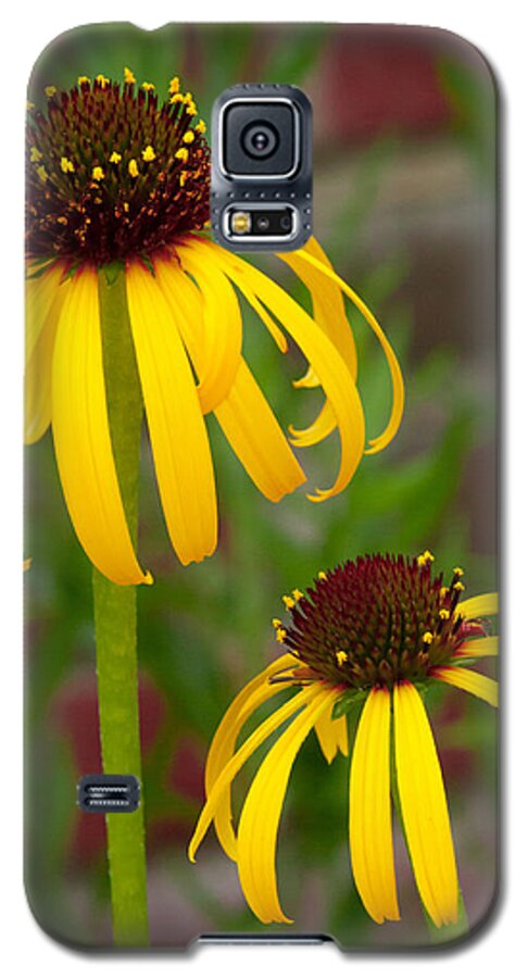 Botanical Galaxy S5 Case featuring the photograph Yellow Pair by David Coblitz