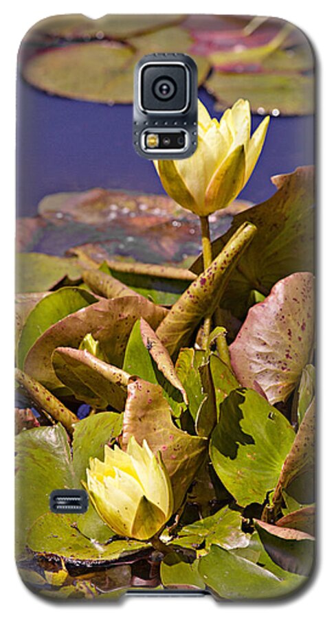Water Galaxy S5 Case featuring the photograph Yellow Water Hyacinth by Peter J Sucy
