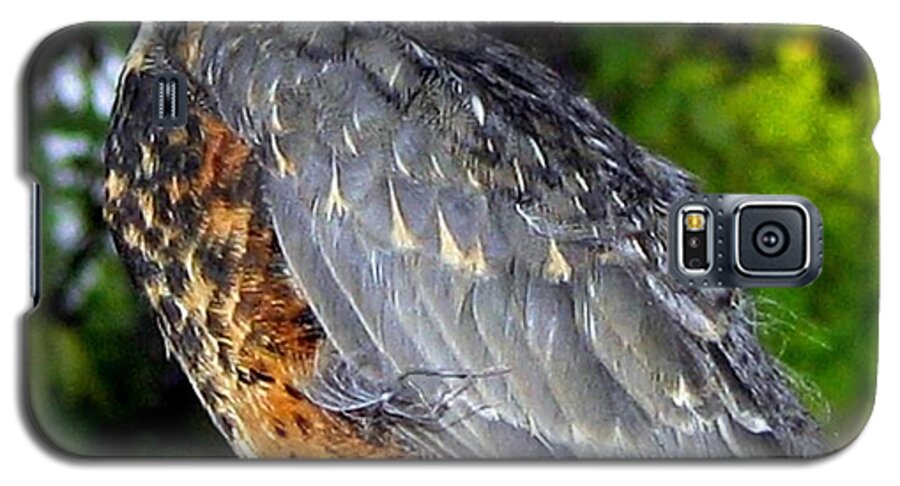 Young American Robin Galaxy S5 Case featuring the photograph Young American Robin by Will Borden