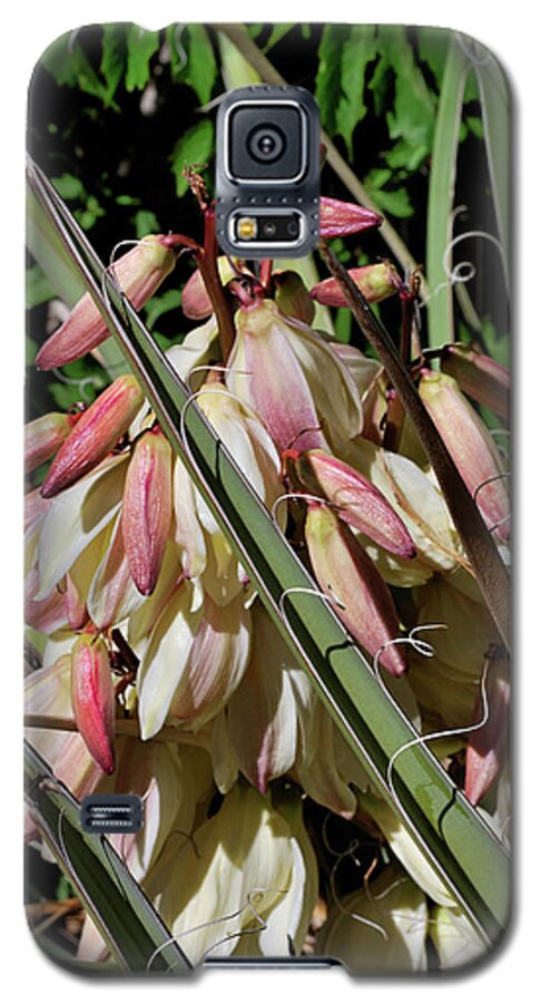 Nature Galaxy S5 Case featuring the photograph Yucca Bloom I by Ron Cline