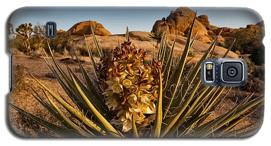 Joshua Tree National Park Galaxy S5 Case featuring the photograph Yucca Bloom by Patti Schulze