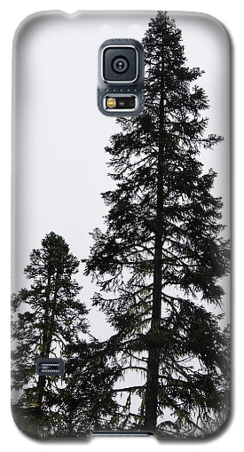 British Columbia Galaxy S5 Case featuring the photograph Bahman and his courtiers #1 by Steve Estvanik