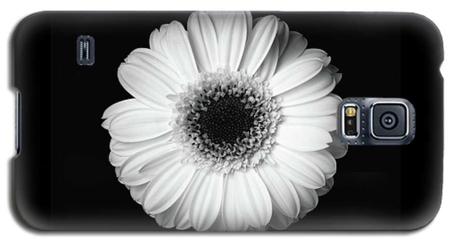 Flower Galaxy S5 Case featuring the photograph Black and white flower #1 by Mirko Chessari