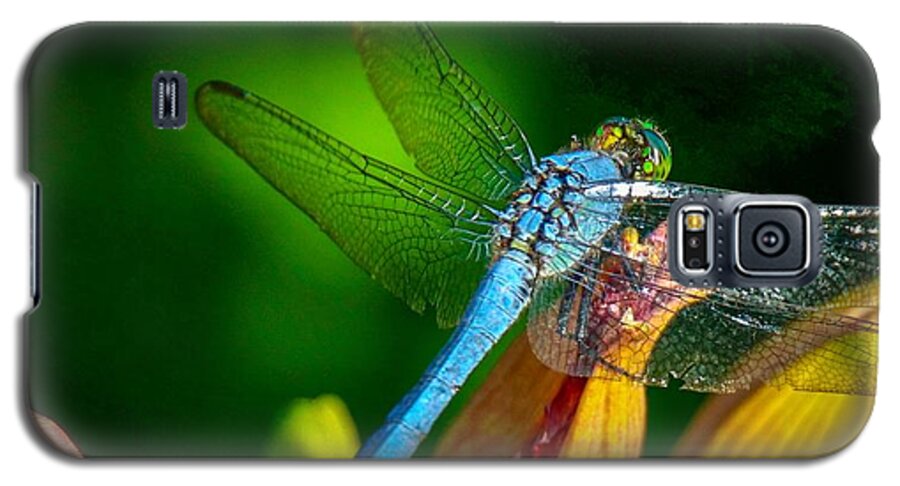 Beautiful Galaxy S5 Case featuring the photograph Blue Dragonfly #2 by Susan Rydberg