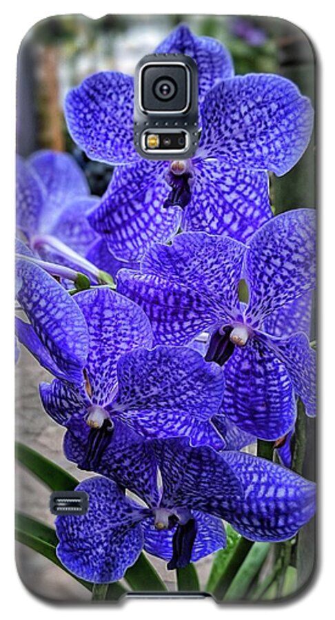 Flower Galaxy S5 Case featuring the photograph Deep Purple Orchid #1 by Portia Olaughlin