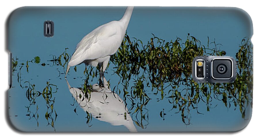 Gret Egret Galaxy S5 Case featuring the photograph Great Egret #1 by Ken Stampfer