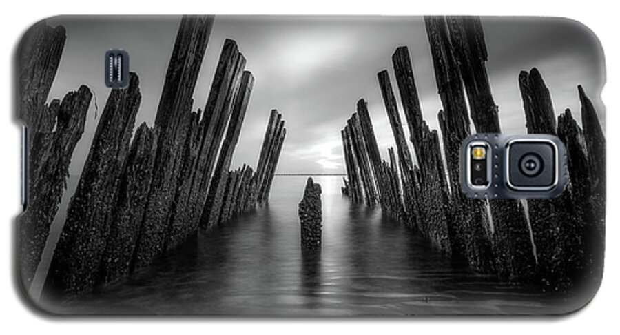 Sunset Galaxy S5 Case featuring the photograph The Sticks #1 by John Randazzo