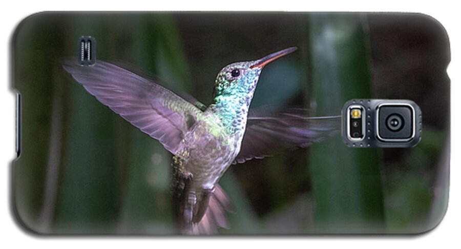 Amazilia Versicolor Galaxy S5 Case featuring the photograph Versicolored emerald hummingbird hovers #1 by Mark Hunter