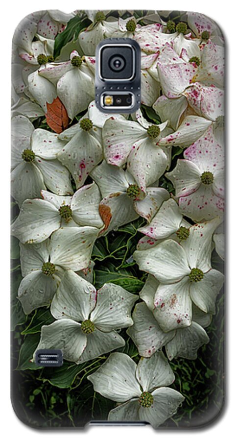 Flowering Dogwood Galaxy S5 Case featuring the photograph Flowering Dogwood #18 by Robert Ullmann