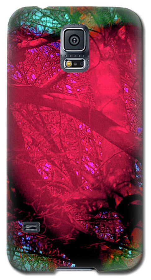 Walter Paul Bebirian Galaxy S5 Case featuring the digital art 2-16-2009ab by Walter Paul Bebirian