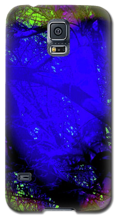 Walter Paul Bebirian Galaxy S5 Case featuring the digital art 2-16-2009abcdefg by Walter Paul Bebirian