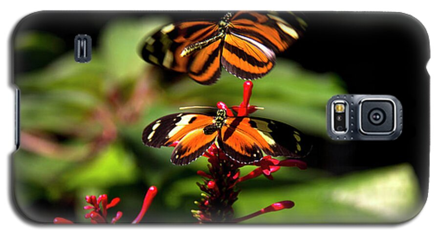 Butterfly Galaxy S5 Case featuring the photograph Butterfly #3 by Richard Krebs