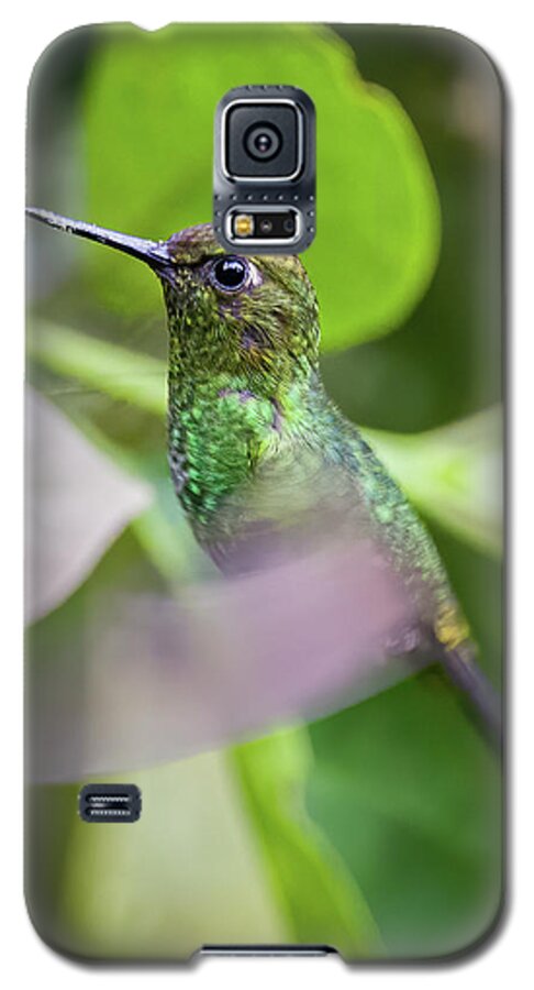 Colombia Galaxy S5 Case featuring the photograph Greenish Puffleg Fincas Verdes San Antonio Tolima Colombia #2 by Adam Rainoff