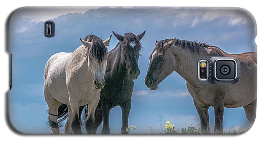 Pryor Mountain Galaxy S5 Case featuring the photograph Wild Mustangs of Montana #1 by Douglas Wielfaert