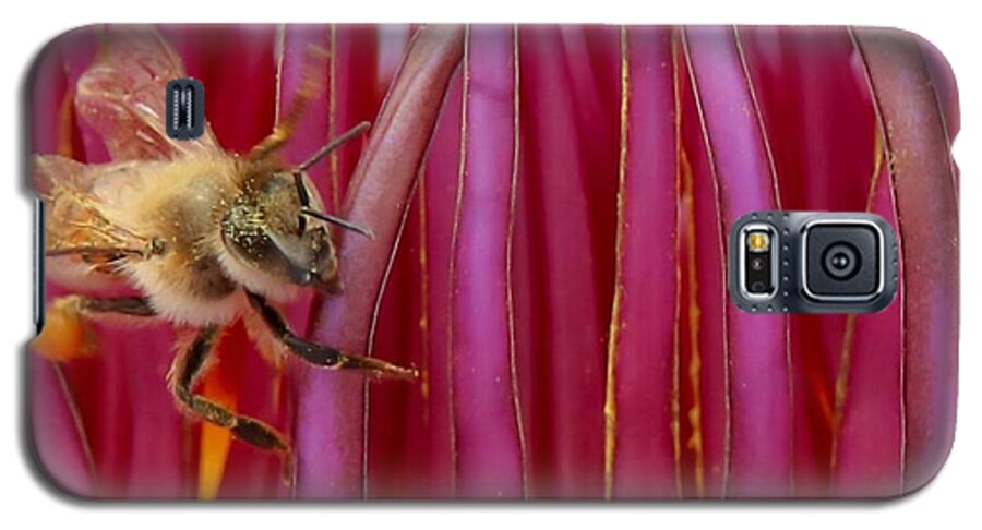 Susan Rydberg Galaxy S5 Case featuring the photograph A Bee's World by Susan Rydberg