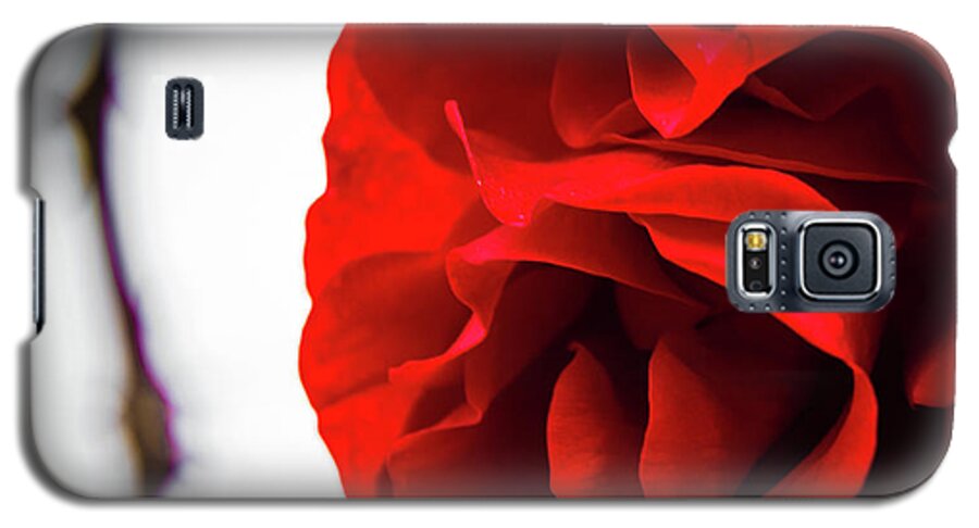 Rose Galaxy S5 Case featuring the photograph A red rose by Lyl Dil Creations