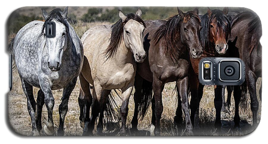 Wild Horses Galaxy S5 Case featuring the photograph All in a row by Mary Hone