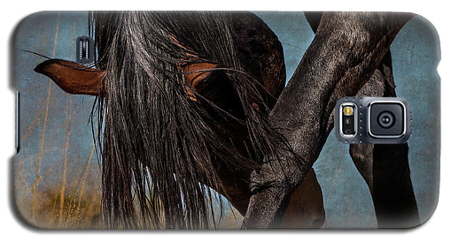 Horse Galaxy S5 Case featuring the photograph Angles of the Horse by Mary Hone