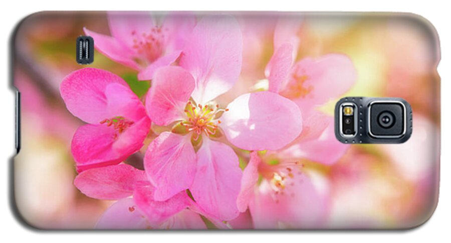 Nature Galaxy S5 Case featuring the photograph Apple Blossoms Cheerful Glow by Leland D Howard