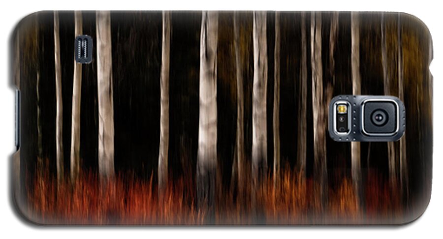 Trees Galaxy S5 Case featuring the photograph Autumn Abstract by Catherine Reading