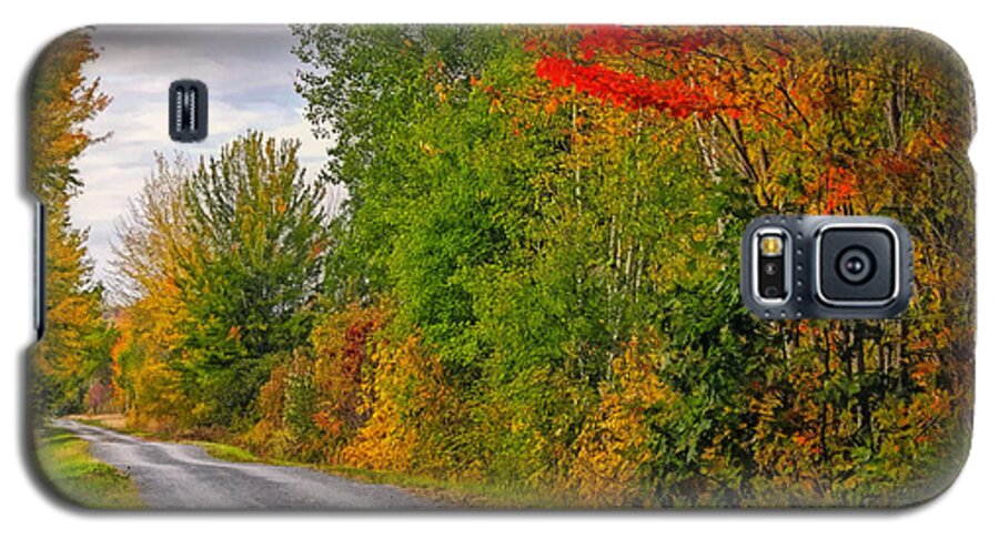 Country Road Galaxy S5 Case featuring the photograph Autumn Lane by Carol Randall