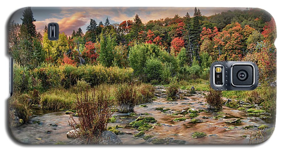 Nature Galaxy S5 Case featuring the photograph Autumn Light Reflections by Leland D Howard