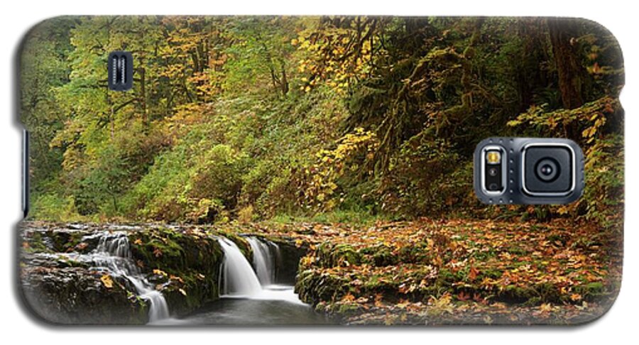 Silver Falls Galaxy S5 Case featuring the photograph Autumn Scene by Brian Bonham