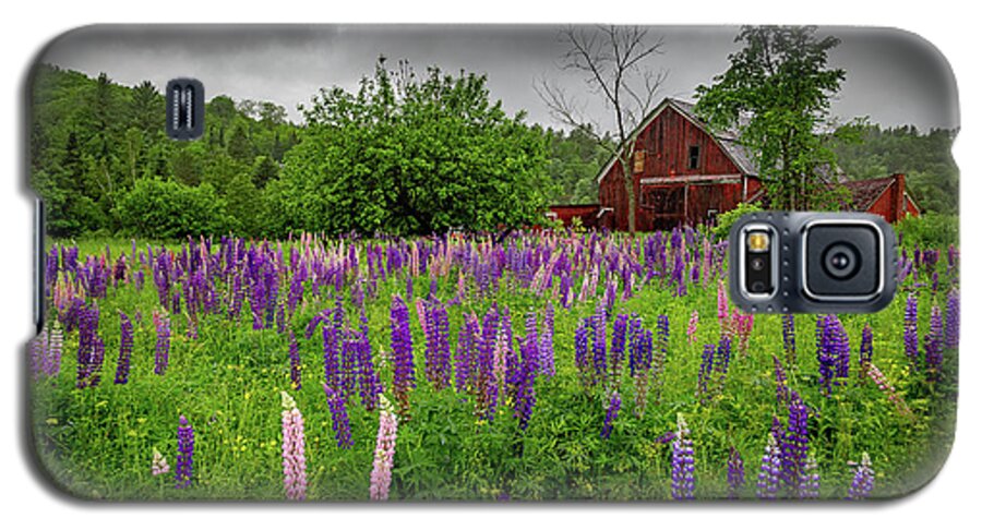 Vermont Galaxy S5 Case featuring the photograph Barn and Lupines in the Rain by Tim Kirchoff