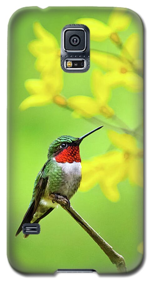 Hummingbird Galaxy S5 Case featuring the photograph Beautiful Summer Hummer by Christina Rollo