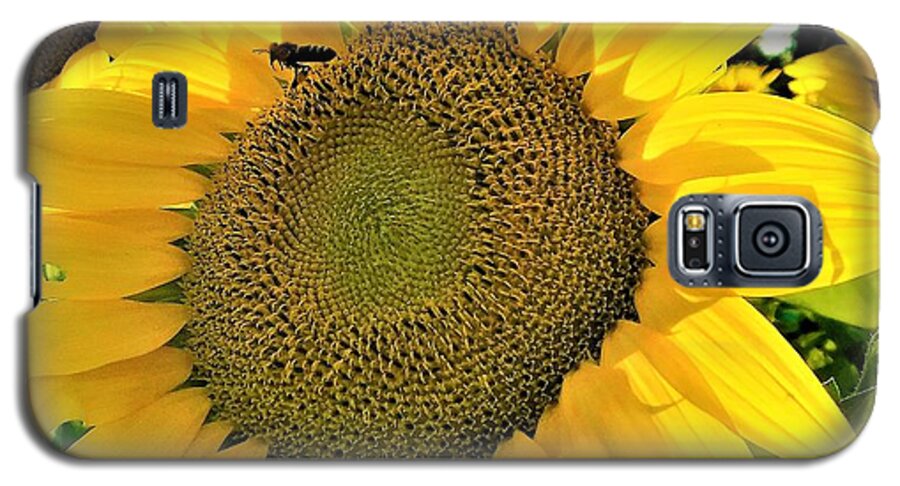 - Bee On A Sunflower Galaxy S5 Case featuring the photograph - Bee on a Sunflower by THERESA Nye