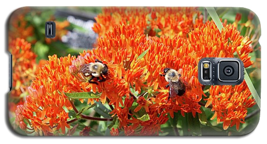 Flower Galaxy S5 Case featuring the photograph Bees by Flavia Westerwelle