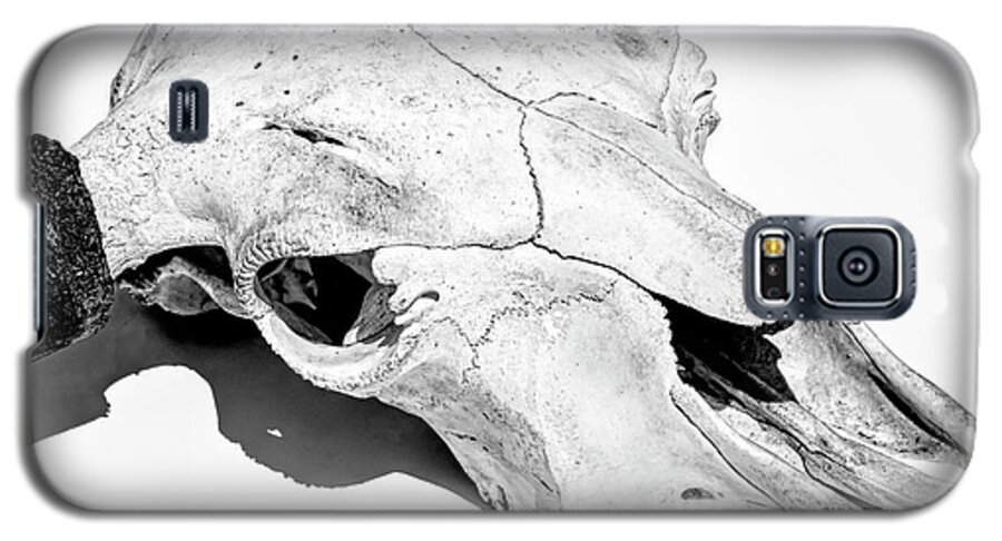Kansas Galaxy S5 Case featuring the photograph Bison Skull 002 by Rob Graham
