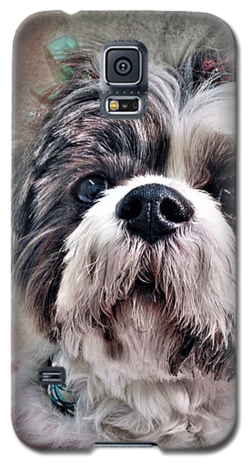 Dog Galaxy S5 Case featuring the digital art Blossom by Diane Chandler