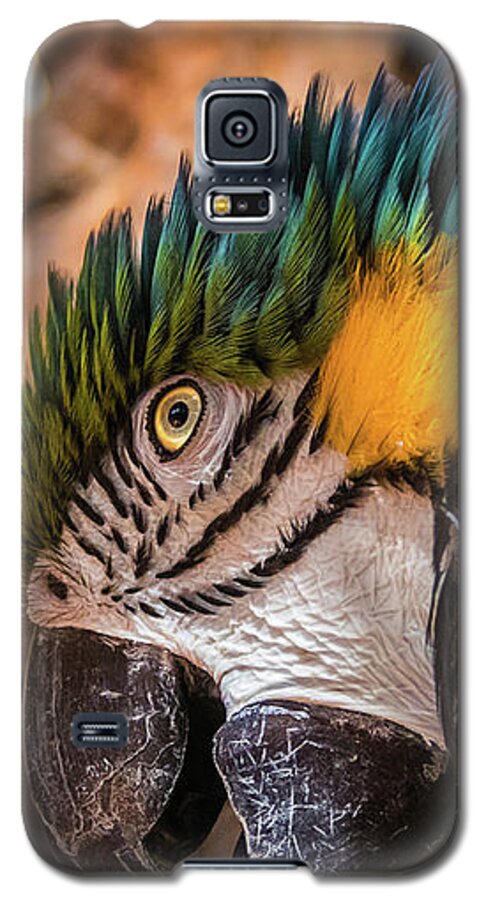 Macaw Galaxy S5 Case featuring the photograph Blue and yellow macaw portrait by Lyl Dil Creations