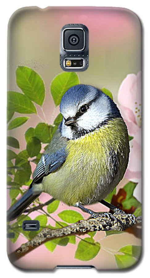 Blue Tit Galaxy S5 Case featuring the pyrography Blue Tit on Apple Blossom by Morag Bates