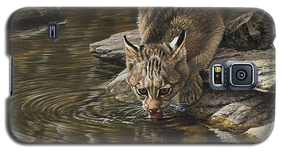 Paintings Galaxy S5 Case featuring the painting Bobcat Drinking from Stream by Alan M Hunt