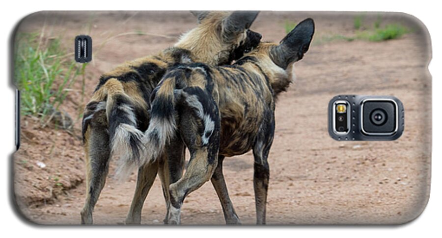 Wild Dog Galaxy S5 Case featuring the photograph Brothers by Mark Hunter