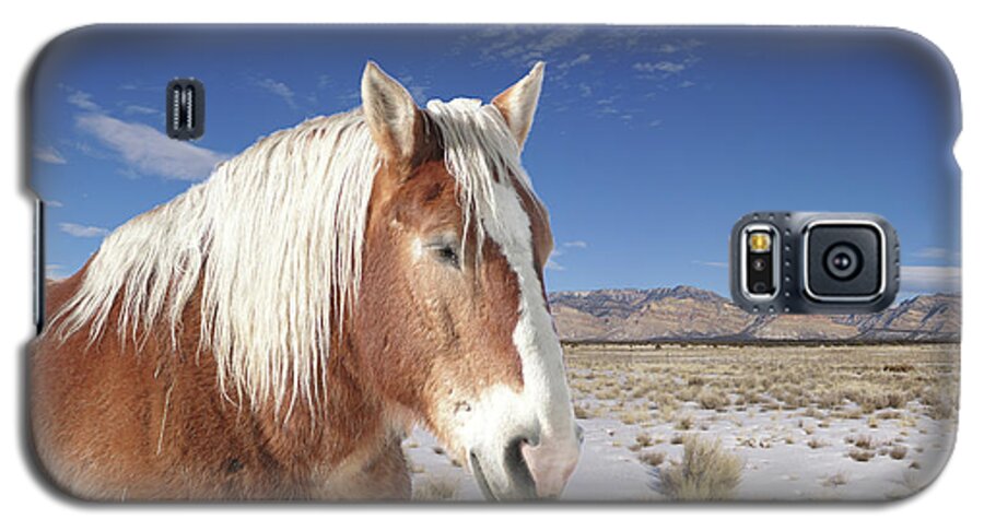 Horse Galaxy S5 Case featuring the photograph Brown horse by Steve Estvanik