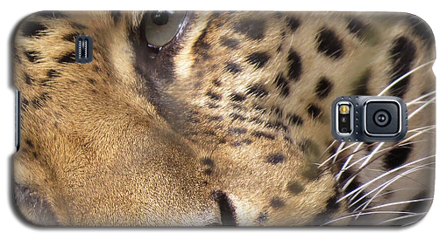 Leopard Galaxy S5 Case featuring the photograph Close-Up by Mary Mikawoz