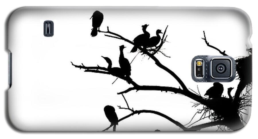 Cormorant Galaxy S5 Case featuring the photograph Cormorant's in Silhouette by Kevin Schwalbe