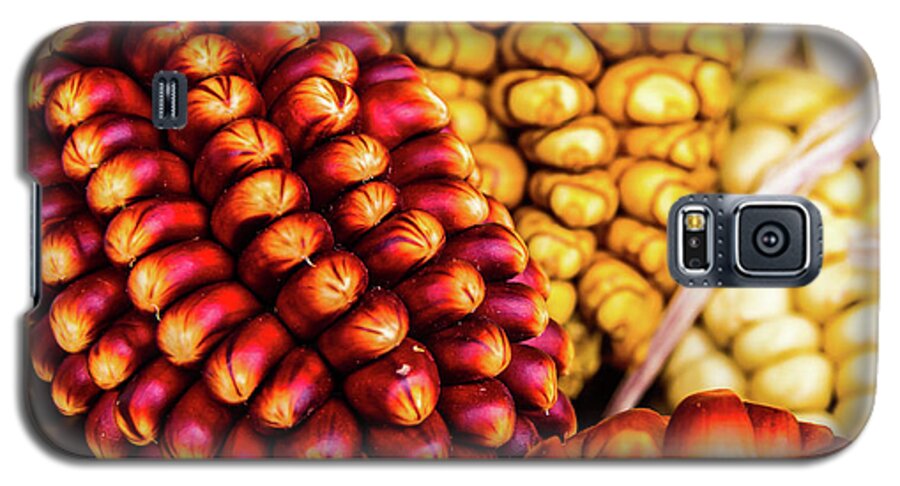 Corncob Galaxy S5 Case featuring the photograph Corn cobs by Lyl Dil Creations