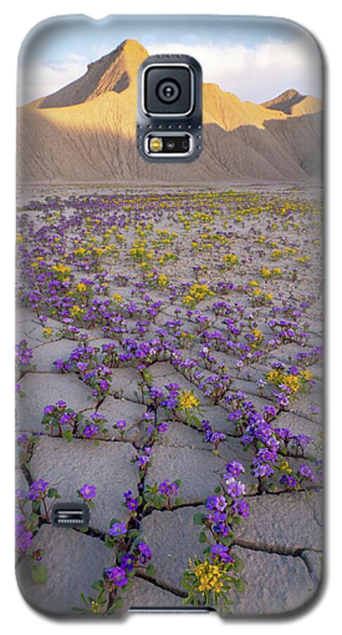 Utah Galaxy S5 Case featuring the photograph Courage by Emily Dickey