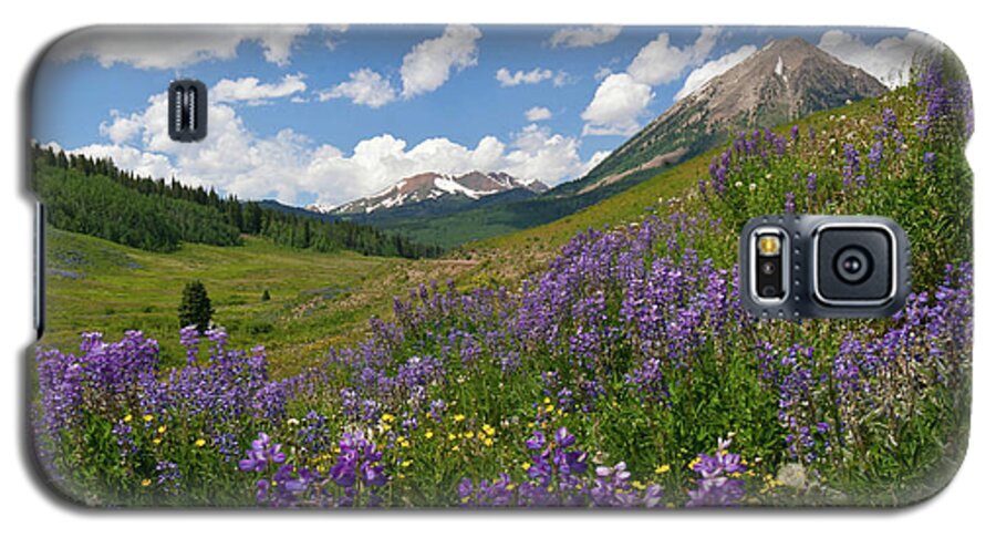 Sunny Galaxy S5 Case featuring the photograph Crested Butte Sunny Lupine Landscape by Cascade Colors