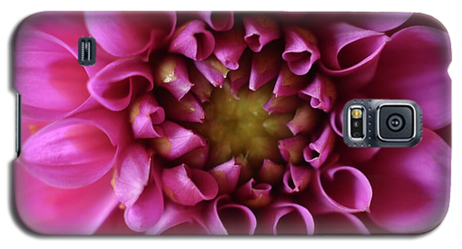 Flower Galaxy S5 Case featuring the photograph Curled Up by Michelle Wermuth