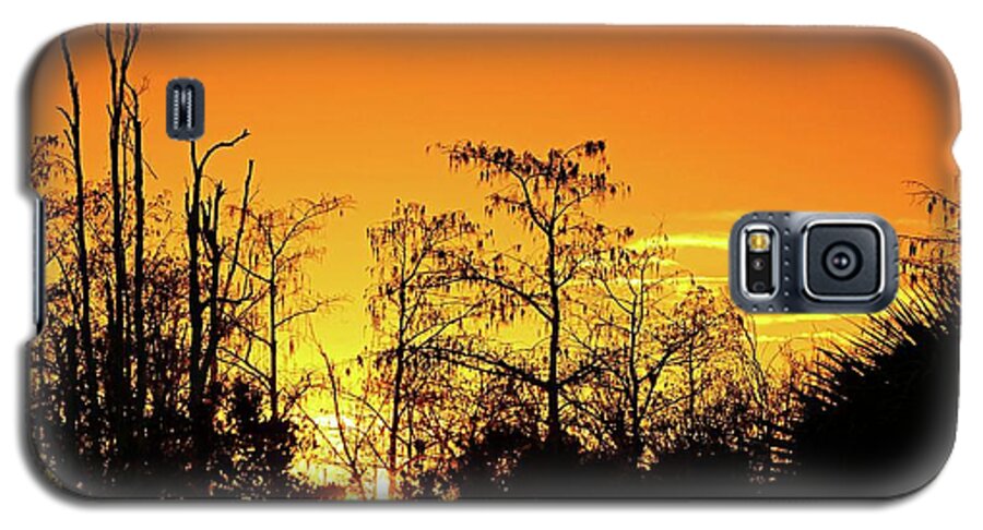 Airplane Galaxy S5 Case featuring the photograph Cypress Swamp Sunset 3 by Steve DaPonte