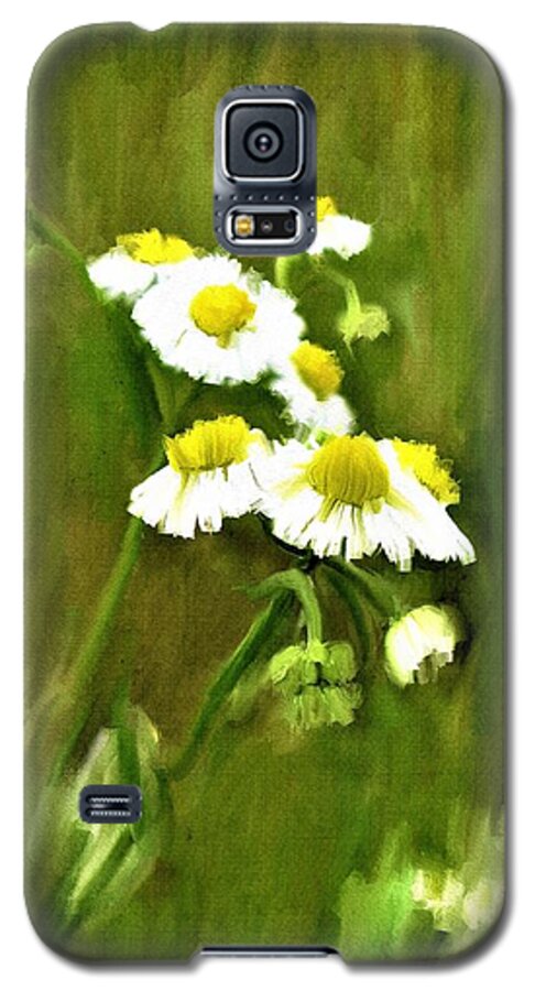 Daisies Galaxy S5 Case featuring the painting Daisies by Diane Chandler