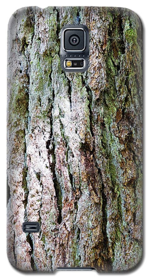 Mrnp Galaxy S5 Case featuring the photograph Details, old growth Western Redcedars by Steve Estvanik